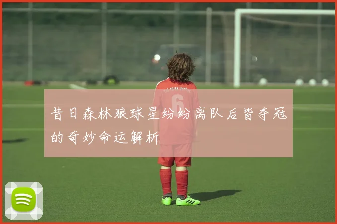 昔日森林狼球星纷纷离队后皆夺冠的奇妙命运解析