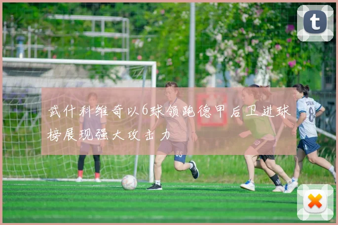 武什科维奇以6球领跑德甲后卫进球榜展现强大攻击力